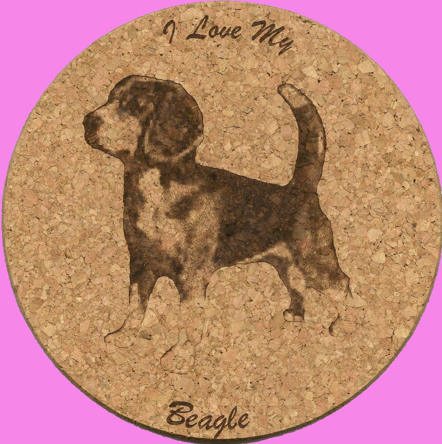 Beagle